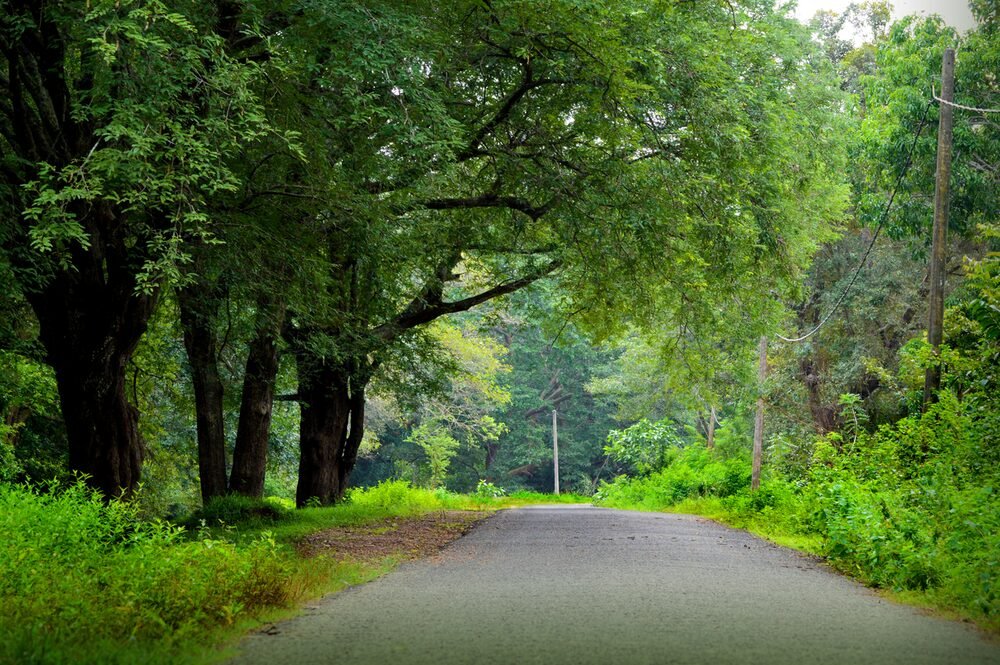 Environment