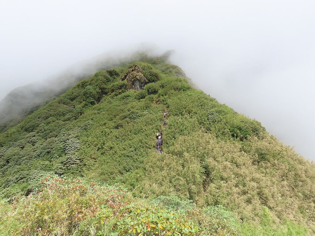 Munnar: Kerala's Tea Garden Paradise