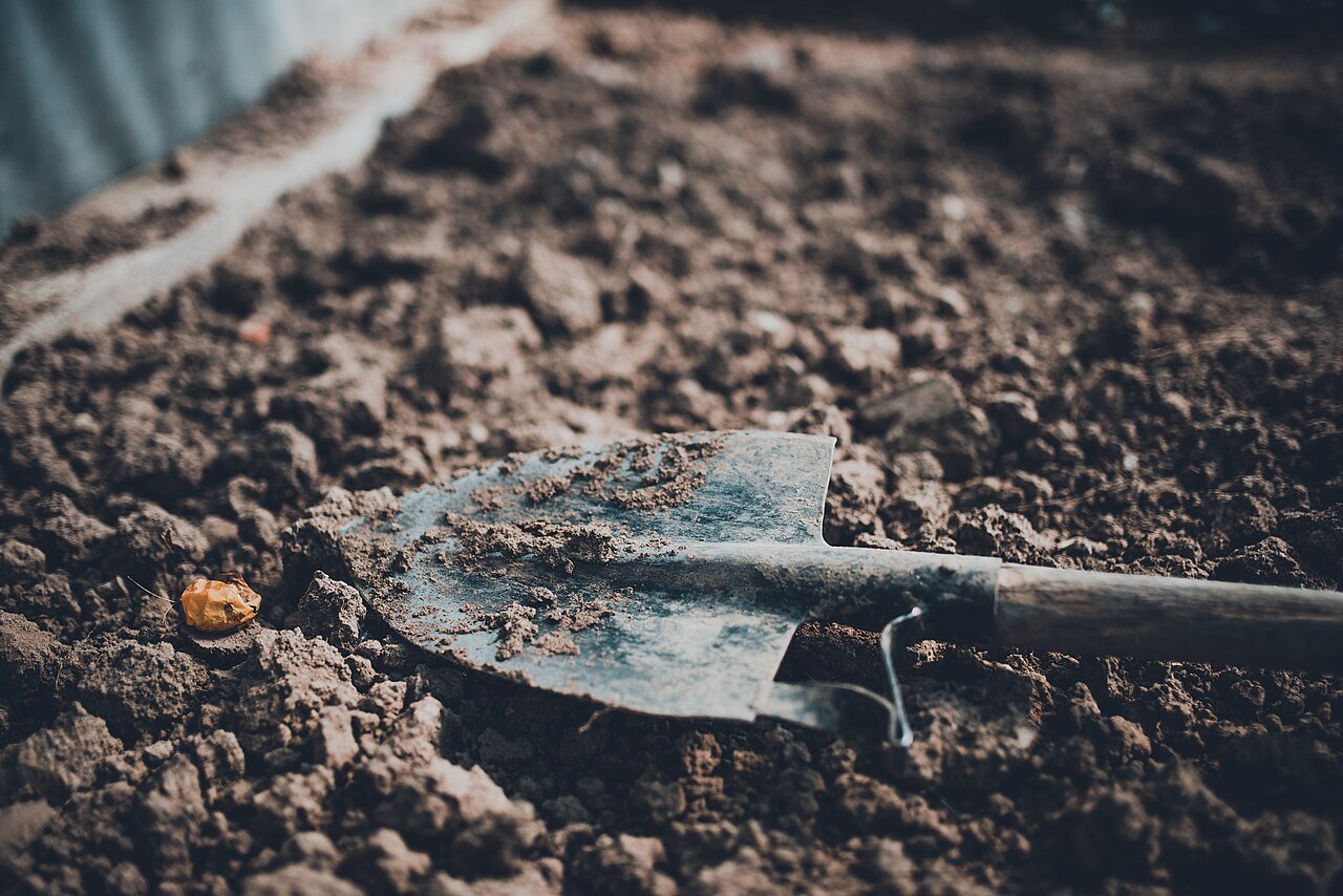 Gardening